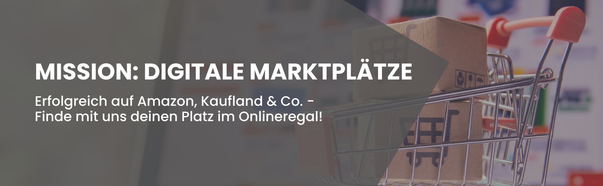 Amazon Landingpage Amazon Landingpage